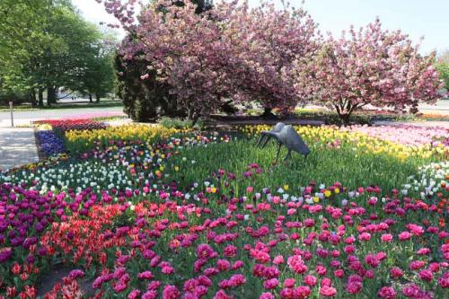 026-2020-M-Helmich-1v3