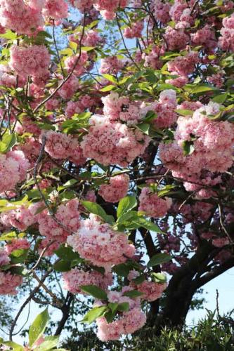 026-2020-M-Helmich-2v3