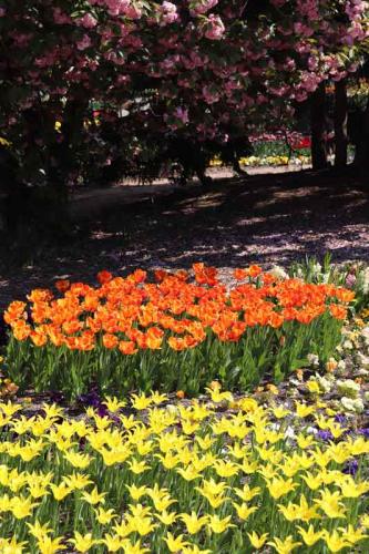 026-2020-M-Helmich-3v3