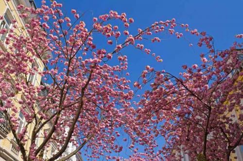 027-2020-E.Schittenhelm-2v3