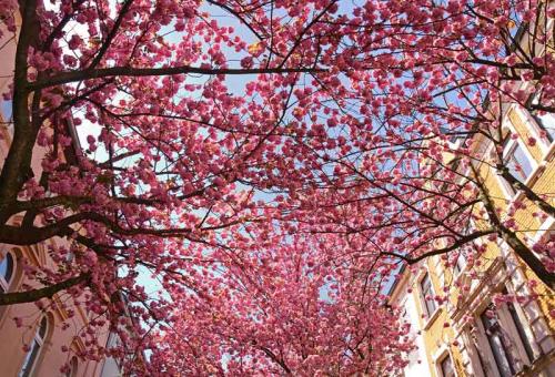 027-2020-E.Schittenhelm-3v3