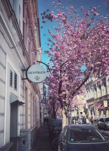 028-2020-N.Grün-1v3