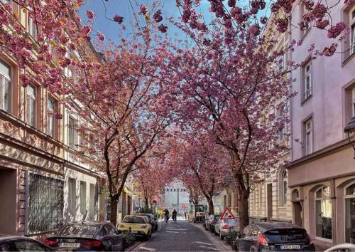 028-2020-N.Grün-3v3