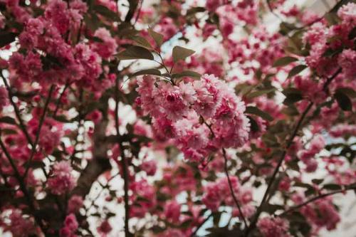 029-2020-J.-Habeth-1v3