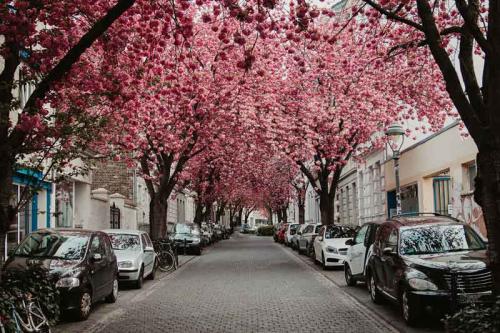 029-2020-J.-Habeth-2v3