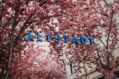 029-2020-J.-Habeth-3v3