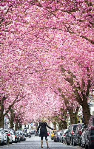 030-2020-J.Escobedo-1v1