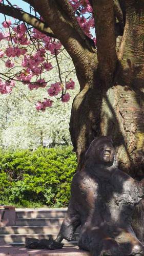 031-2020-B.Matthes-1v3