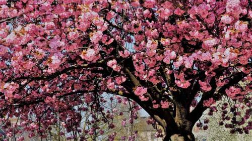 031-2020-B.Matthes-2v3