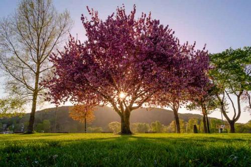 032-2020-J.Biederbick-1v1