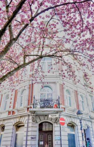 033-2020-L.Ragut-1v3