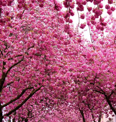 037-2020-K.Knabe-1v3