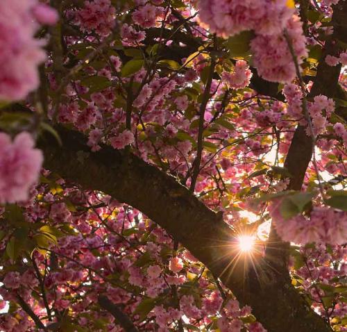 037-2020-K.Knabe-2v3