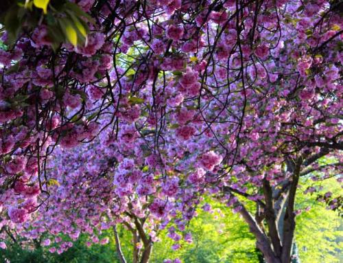 037-2020-K.Knabe-3v3