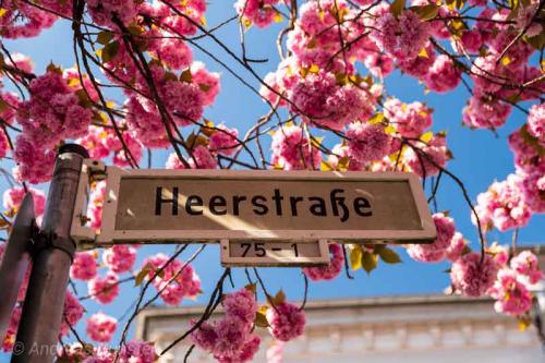 038-2020-A.Günster-1v3