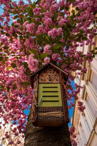 038-2020-A.Günster-2v3