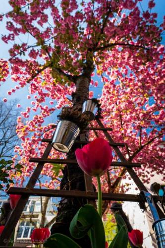 038-2020-A.Günster-3v3