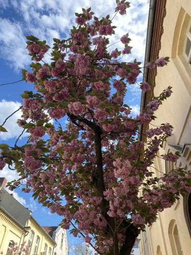 040-2020-A.Meurers-1v3