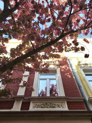 040-2020-A.Meurers-2v3