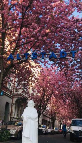 040-2020-A.Meurers-3v3