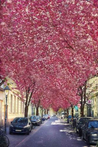 041-2020-St.Emmer-1v1