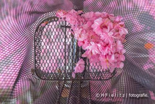 042-2020-H.Fielitz-2v3