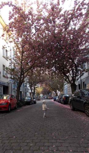 043-2020-J.Romanyshyn-1v3