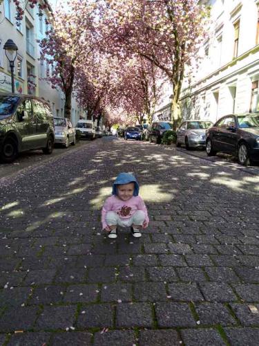 043-2020-J.Romanyshyn-2v3