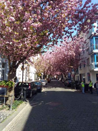 044-2020-M.Kühner-2v3