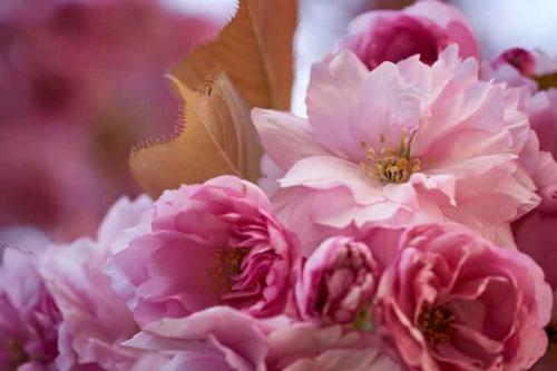 045-2020-Th.Geibig-1v3