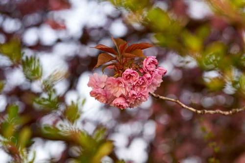 045-2020-Th.Geibig-2v3