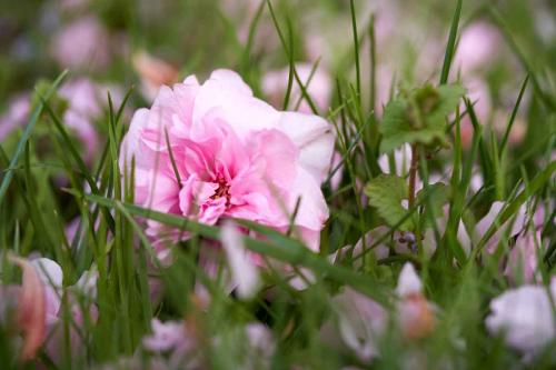 045-2020-Th.Geibig-3v3