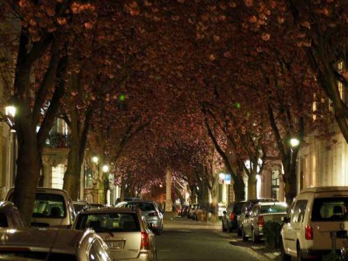 046-2020-J.Glitz-1v3