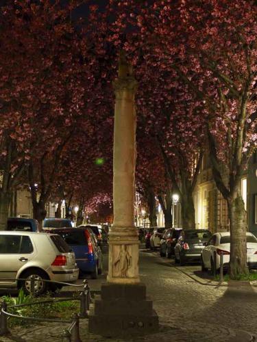 046-2020-J.Glitz-2v3