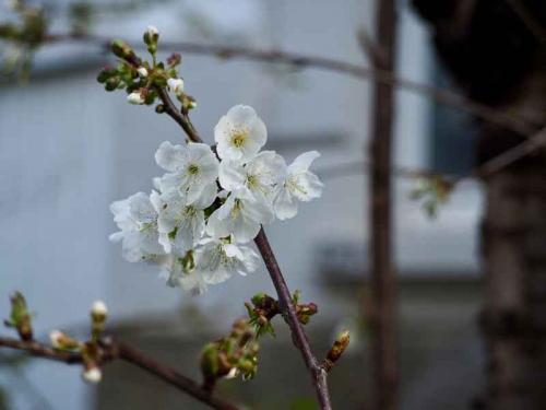 046-2020-J.Glitz-3v3