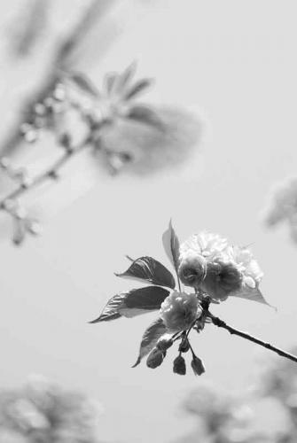 047-2020-S.-Komossa-3v3