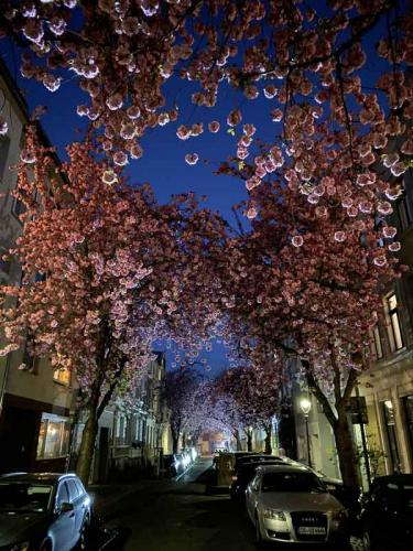 048-2020-C.Stein-1v3