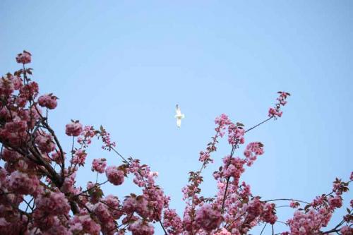 048-2020-C.Stein-3v3