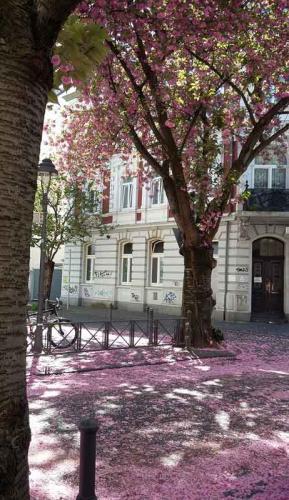 049-2020-C.Podolski-1v3