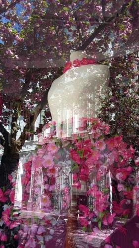 049-2020-C.Podolski-2v3