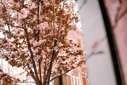 34-2020-A.Nassetti-1v2