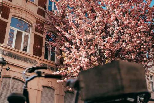 34-2020-A.Nassetti-2x2