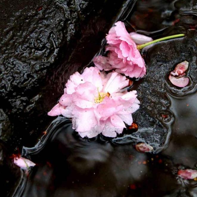 007-wett-2022-S.bremm-Daeumer-01-2