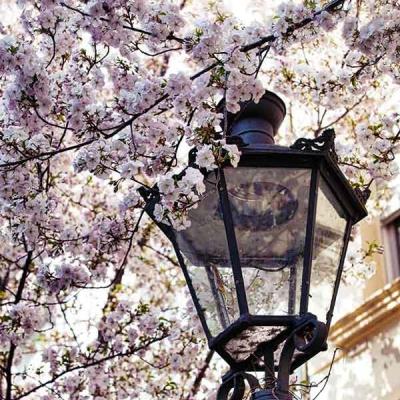 024-wett-2022-D.Droth-3v3