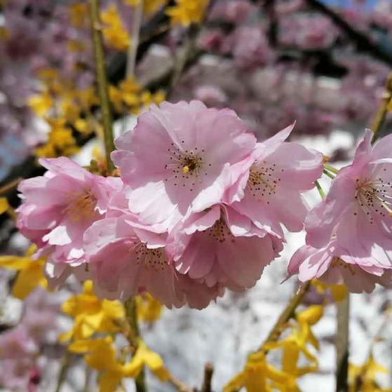 025-wett-2022-Chr.Schreivogel-1v3