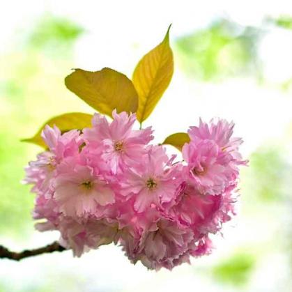 035-wett-2022-P.Wronewitz-1v2