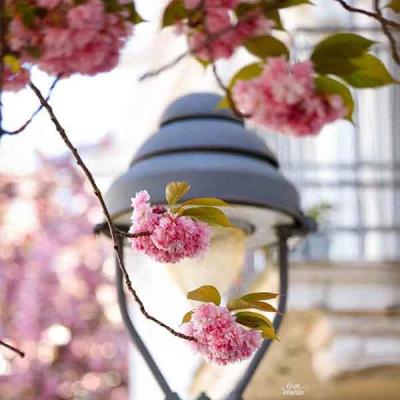 070-wett-2022-L.Weintke-2v3