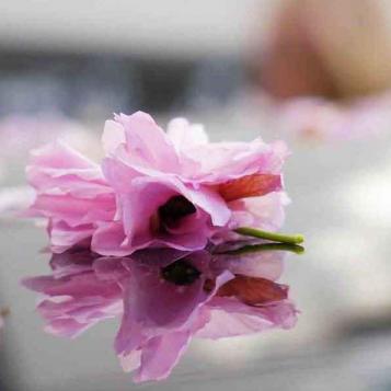 075-wett-2022-A.Schenke-1v3