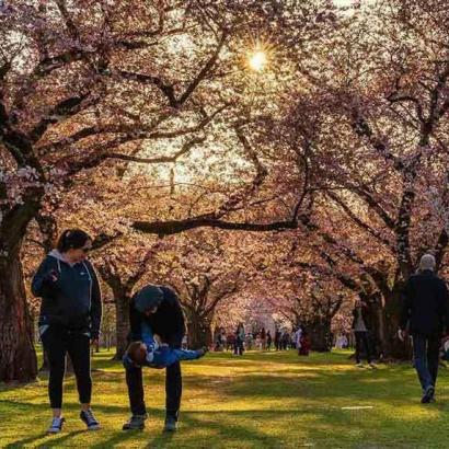 079-wett-2022-R.Beetz-2v2