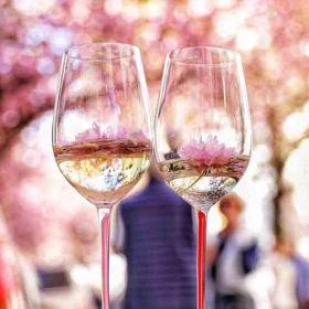 084-wett-2022-S.Xuezheng-sun-2v3